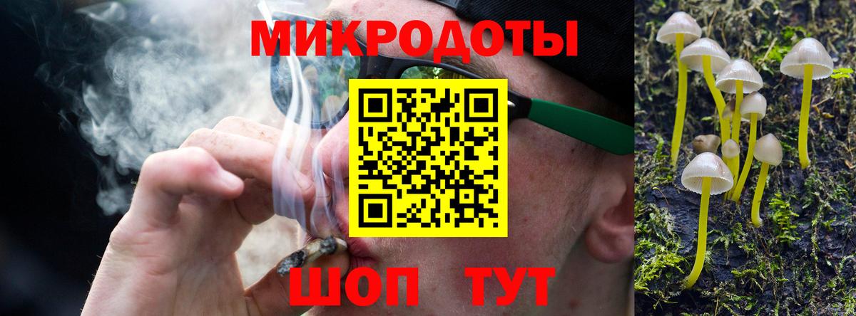 Галлюциногенные грибы Psilocybine cubensis Сланцы
