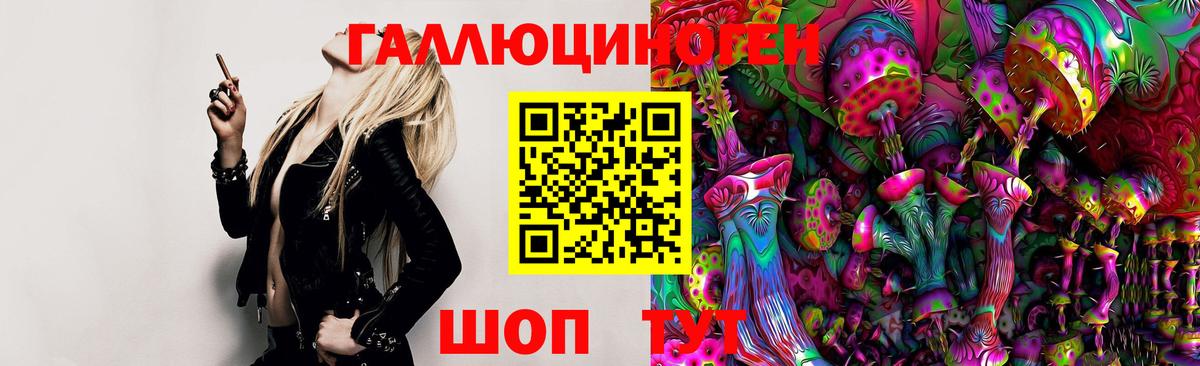 Сланцы  Галлюциногенные грибы MAGIC MUSHROOMS  Вход с VPN 